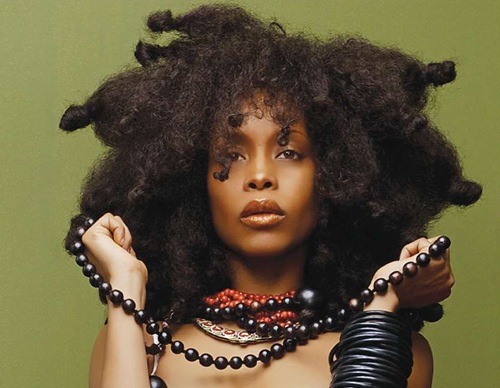 https://entertainmentrundown.com/wp-content/uploads/2009/03/erykahbadu.jpg